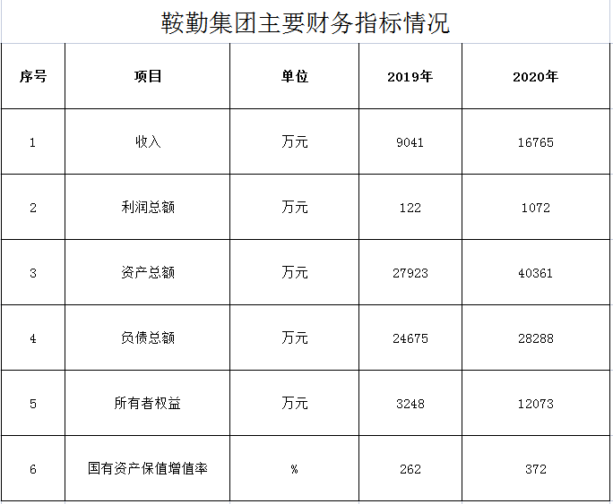 鞍勤集团2019年度-2020年度财务指标情况